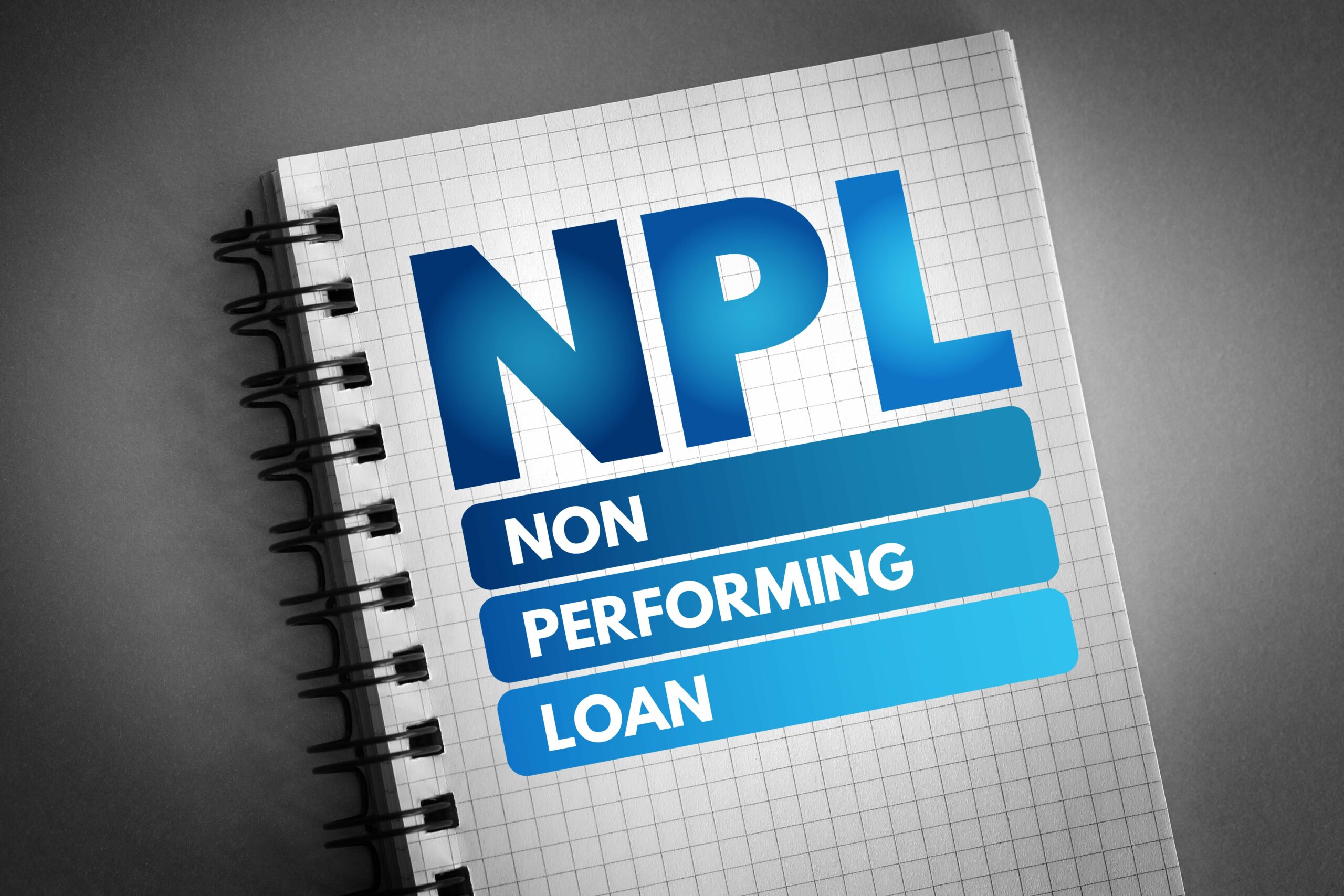 non-performing-loan-ratio-up-among-licensed-finance-companies-sector-in