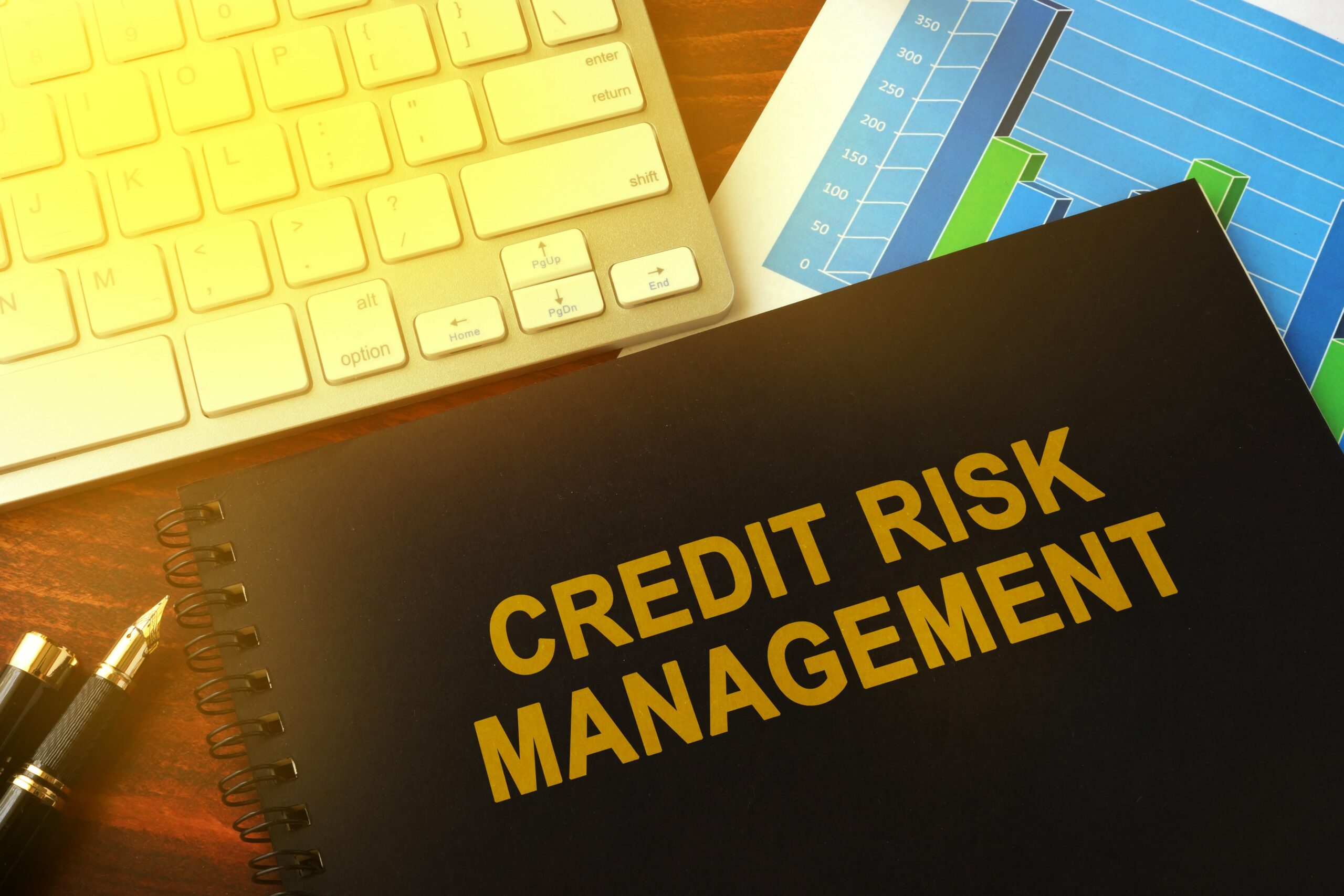 credit-risk-management-loanspot-io-south-africa